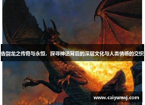 告别龙之传奇与永恒，探寻神话背后的深层文化与人类情感的交织